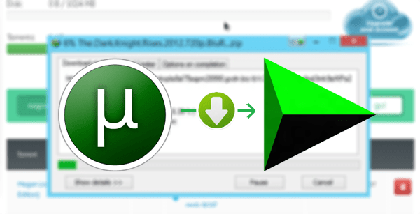 Télécharger un fichier torrent avec IDM
